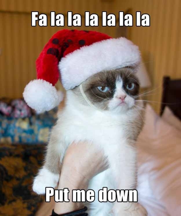 Image result for Grumpy cat christmas