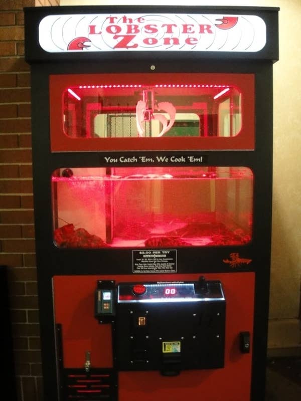 Live Lobster Vending Machine RSL Top 50 unusual vending solutions