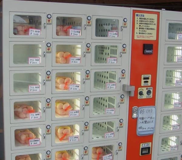 Egg farm egg vending machine uk RSL Top 50 unusual vending solutions