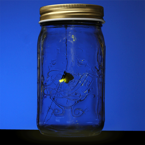 This electronic firefly will never die, just like your love.