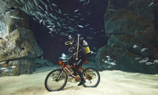 Vittorio Innocente was 218ft deep when he pedalled along the ocean floor.