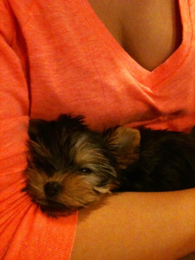 she loves to cuddle..