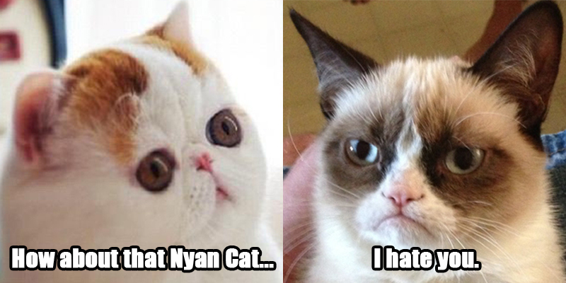 Snoopy Cat Meets Grumpy Cat