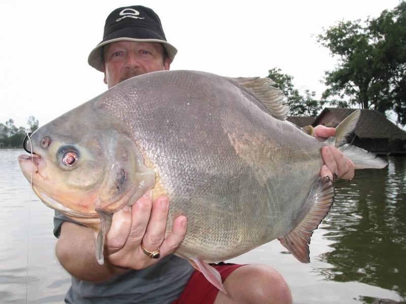 "JUST GIVING FISH AWAY NOT THE TANK"