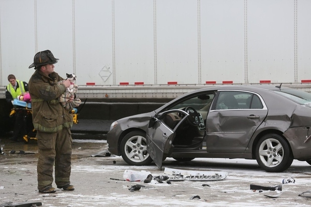 A firefighter holds a dog as its owner is taken for medical treatment on south bound I-75 in Detroit on Thursday. At least two are dead and 20 injured in the snowy-road accident that involved more than two dozen vehicles.