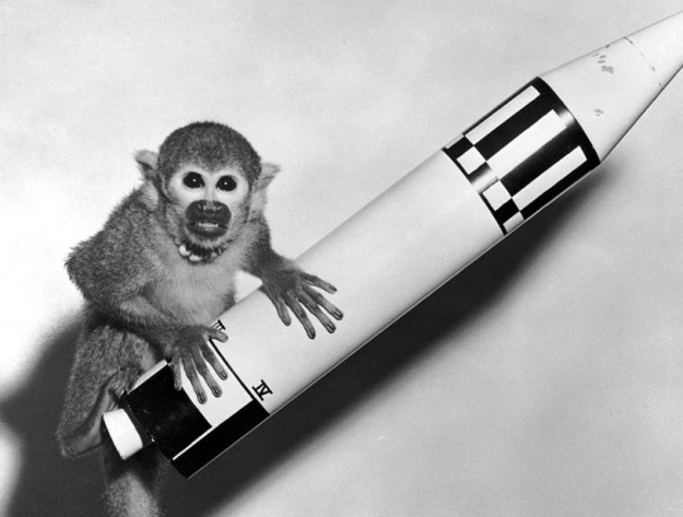 Bet you didn't know that NASA once had an all-monkey space program. Proof, as if any were needed, that Alabama is the birthplace of brilliant ideas.