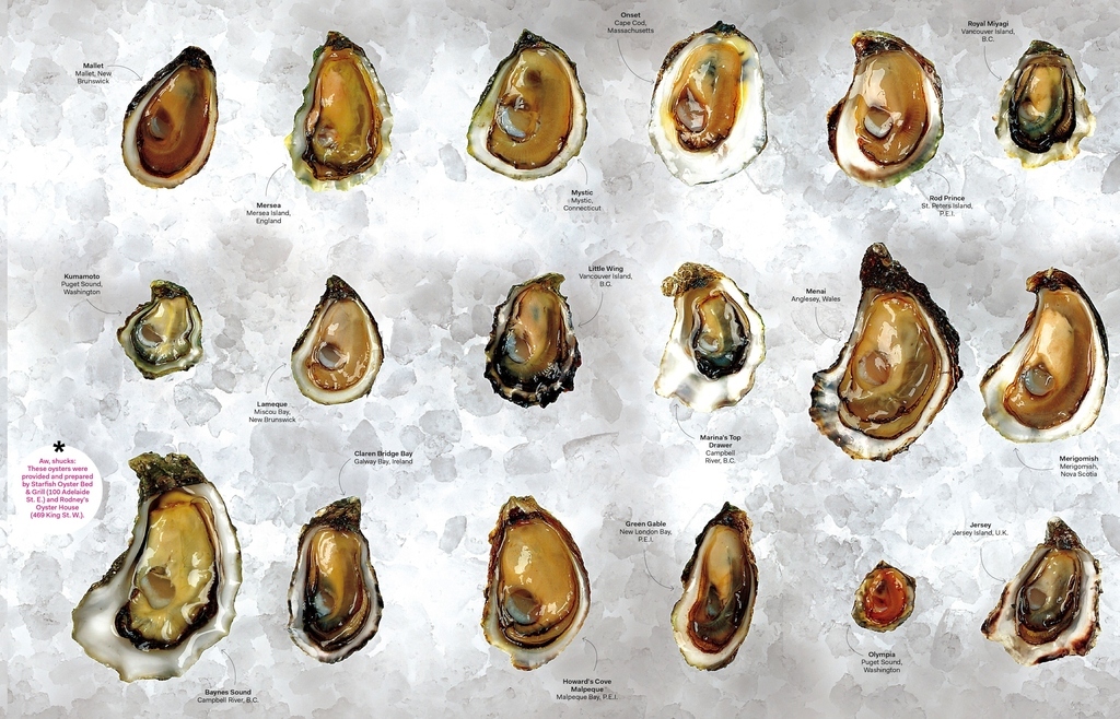 How To Tell If An Oysters Has Gone Bad?