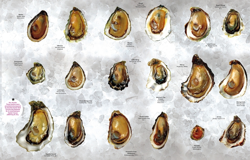 Simple Ways to Determine if Oysters are Bad 2024 AtOnce