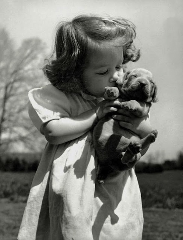 Yes, your bond with your pet is extremely unique, but did you know that the human-animal bond has actual science behind it? The amount of oxytocin (the cuddling hormone) goes up and cortisol (the stress hormone) goes down after you have played with a pet.