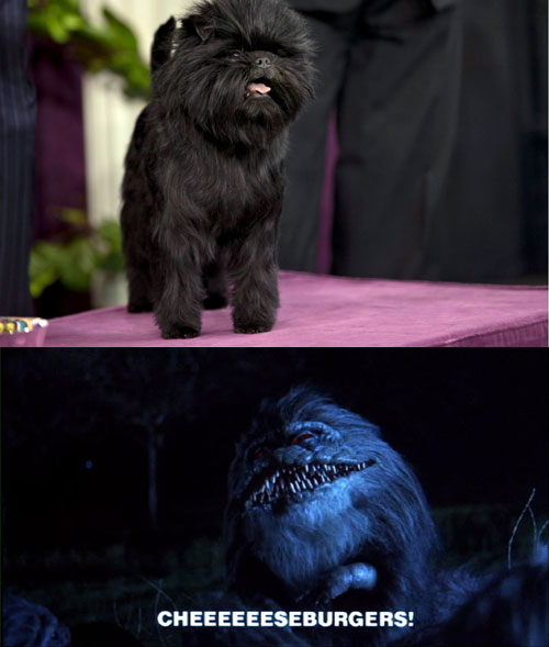 Those Things From Critters