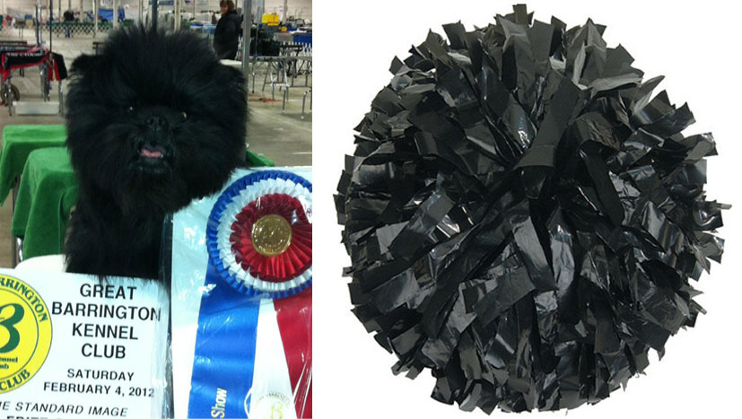 A Goth Pom Pom