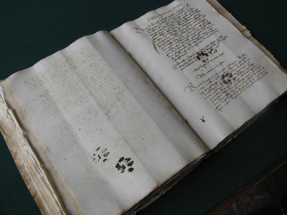 From the Facebook page of Dr Marty Becker "Has your cat ever walked across your keyboard? Well, it’s not a new problem. Medieval book historian Erik Kwakkel recently Tweeted this photo of a 15th century book with… you guessed it… cat paw prints in ink on the pages”