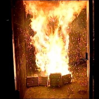 Christmas tree fires cause an average of 4 deaths per year. That makes them 4 time more deadly than bears.