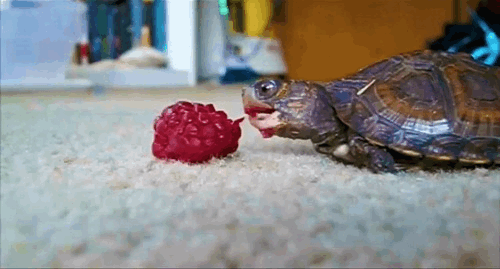 It's been three hours. Can you let them clear the appetizers, please?