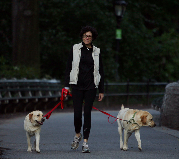 Mayor Bloomberg's girlfriend's dogs, Bonnie and Clyde, just want to keep the status quo.