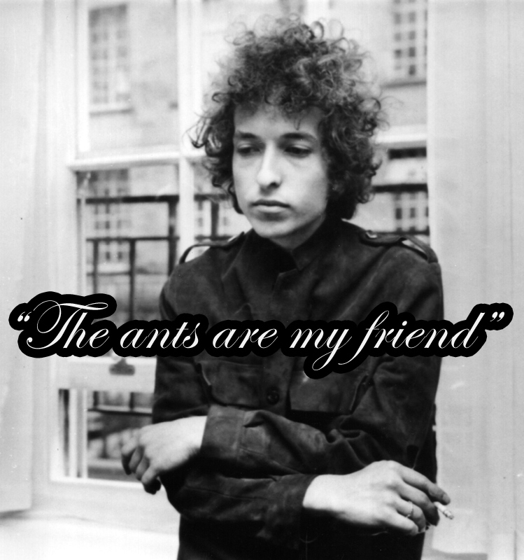 We're all your friends, Bob.
