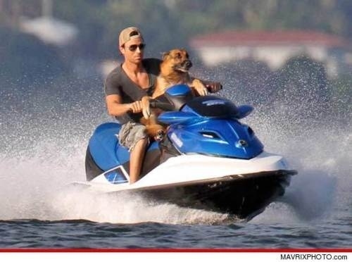 Enrique Iglesias has two dogs. But only one of them owns a Jetski.