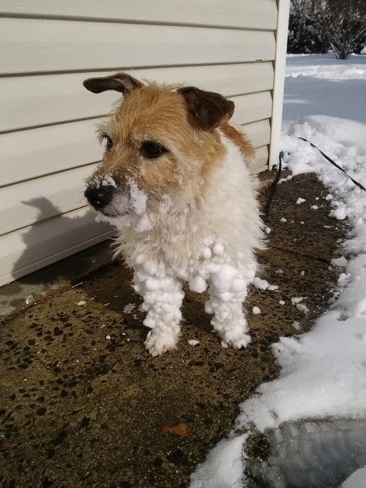 *Her name is Gigglepup and she's a snow addict*