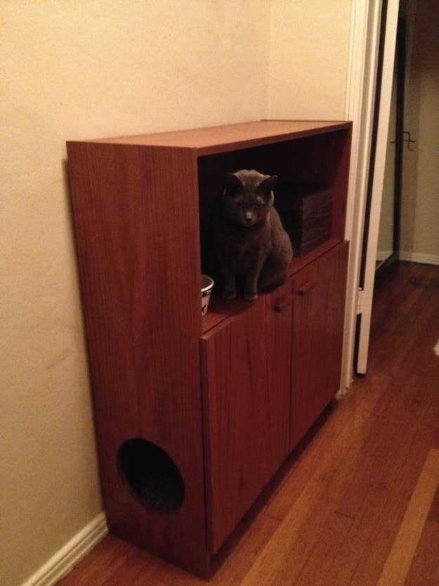 Raised Litter Box Platform With Ramp atelieryuwa.ciao.jp