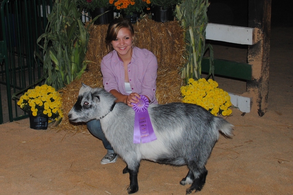 You can't win a pig or a dog or a slow loris as a prize. Trust me. I've tried.