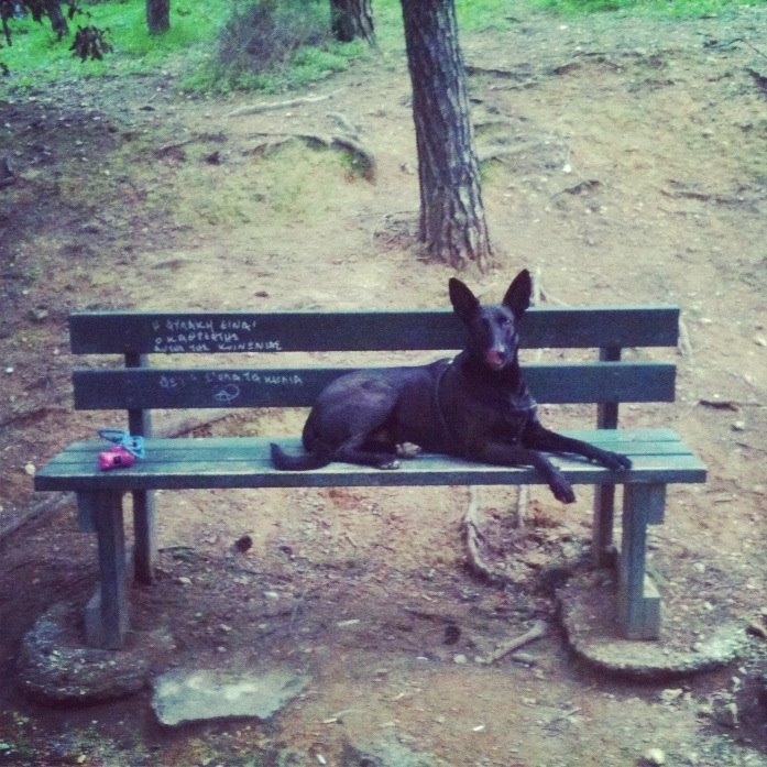 Grace knew she had something special when people kept mistaking her for the Egyptian god Anubis.