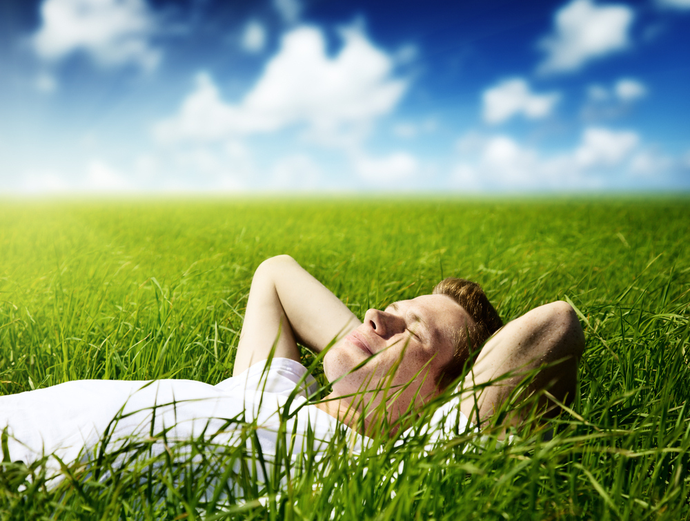 With your earbuds in, the soft rumble of the quiet engine lulls you to sleep. You almost feel as though you're lying in a grassy field, the sun warming your face.