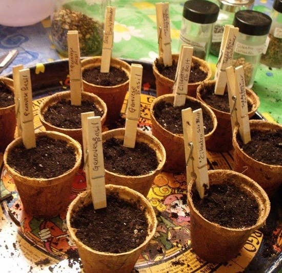 26 DIY Plant Markers For Your Springtime Garden