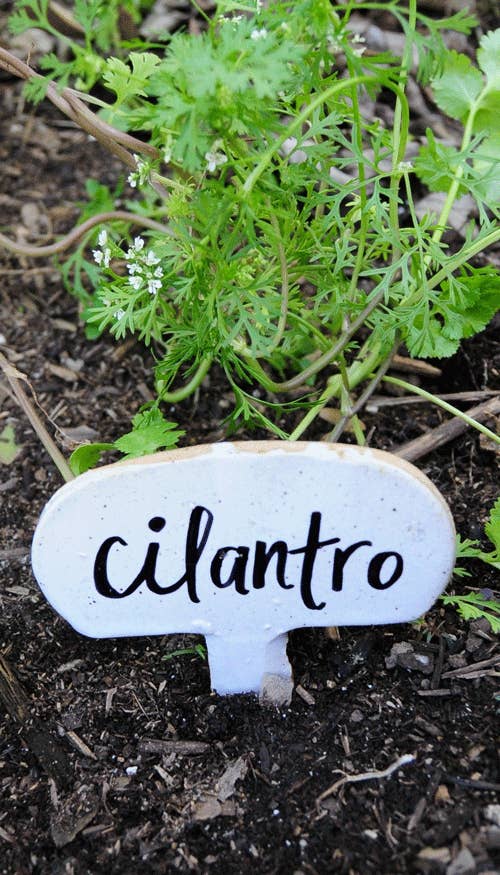 Write the names of the plants in Sharpie and bake for 30 minutes at 350 degrees F.