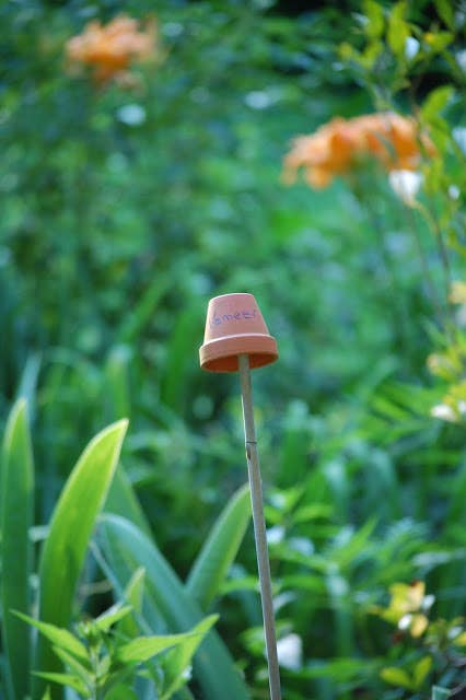 26 DIY Plant Markers For Your Springtime Garden