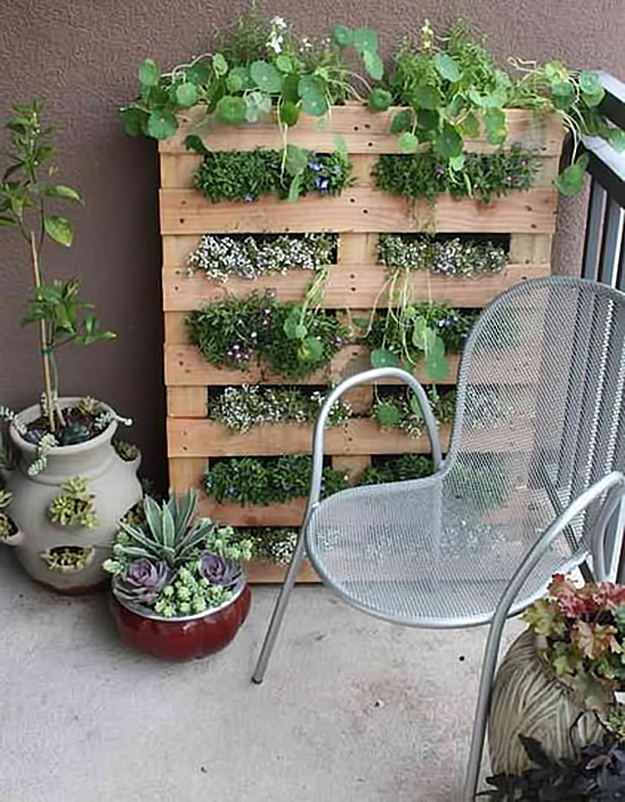 Turn a pallet upright for shelved planting.