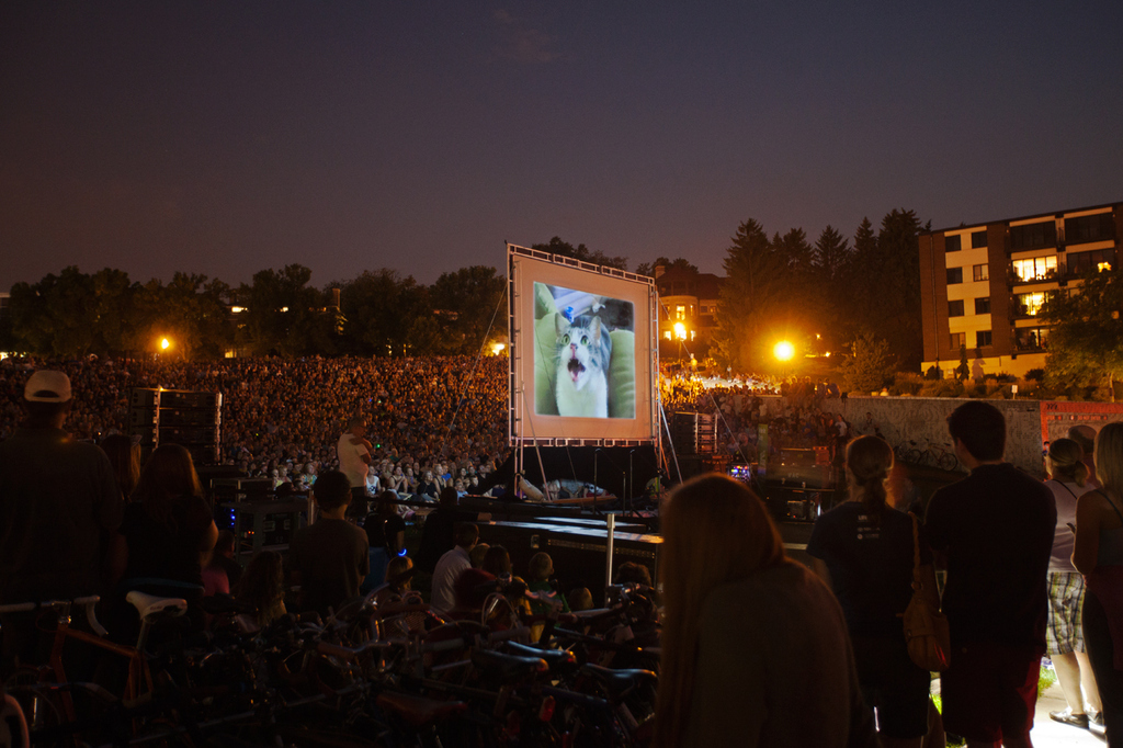 People flocked to see your movies.