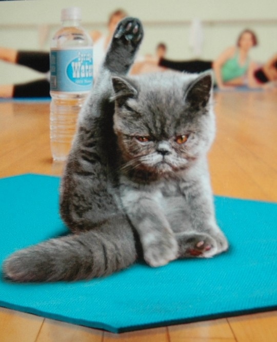 Try doing yoga.