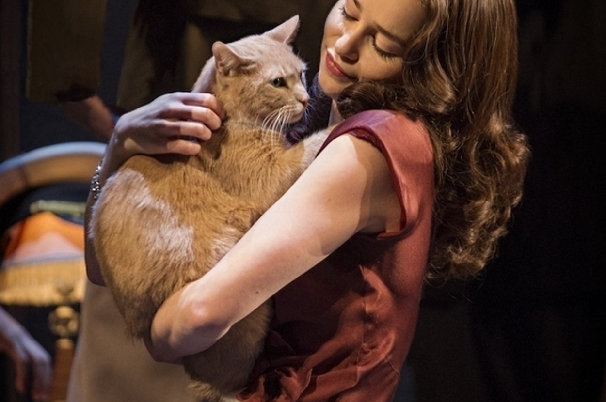 The Cat Who’s Taking Over Broadway