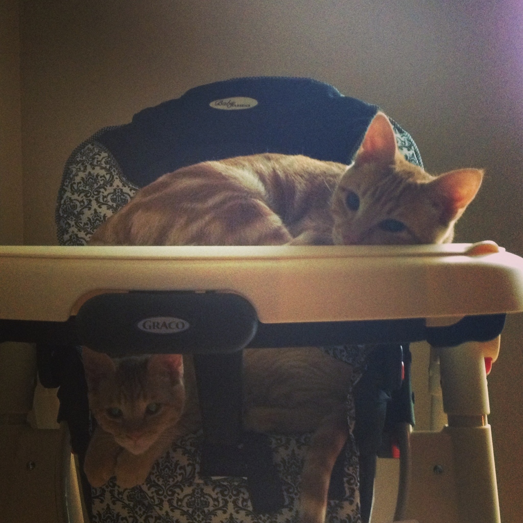 "I can't see you, brother!"