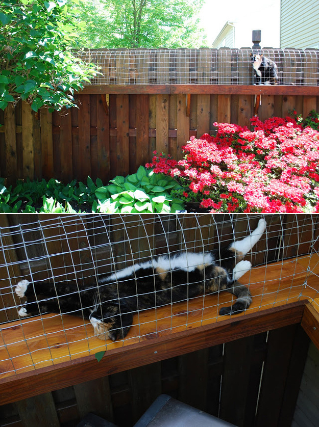 Create an outdoor tunnel system for your indoor cat.