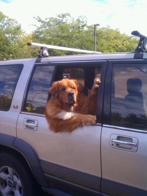 But tell him to look cool.
