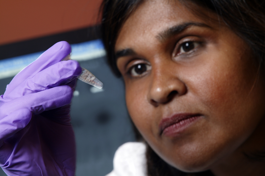 (AP) Dr. Deborah Persaud of Johns Hopkins' Children's Center in Baltimore, one of the doctors who worked with the child.AP — A baby born with the virus that causes AIDS appears to have been cured, scientists announced Sunday, describing the case of a child from Mississippi who's now 2 1/2 and has been off medication for about a year with no signs of infection.The discovery was made a year after doctors had last seen the child and learned the parent had stopped giving the child medication meant to aggressively fight the virus, according to ABC News. When doctors next saw the child, they were confused by test results that didn't indicate any trace of the virus."My first thought was to panic," Dr. Hannah Gay of the University of Mississippi Medical Center told ABC News. "I thought, oh my goodness, I have been treating a child who is not actually infected."But it wasn't a mistake.