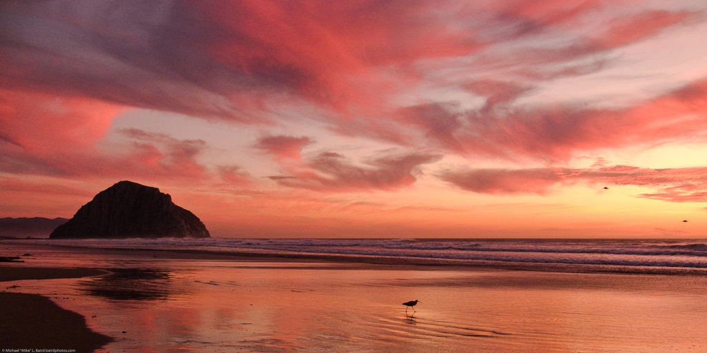 Or Morro Bay.