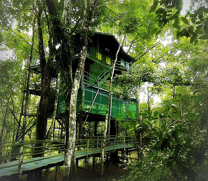 Ariau Amazon Towers Hotel is a treehouse in the middle of the Amazon. Need we say more?