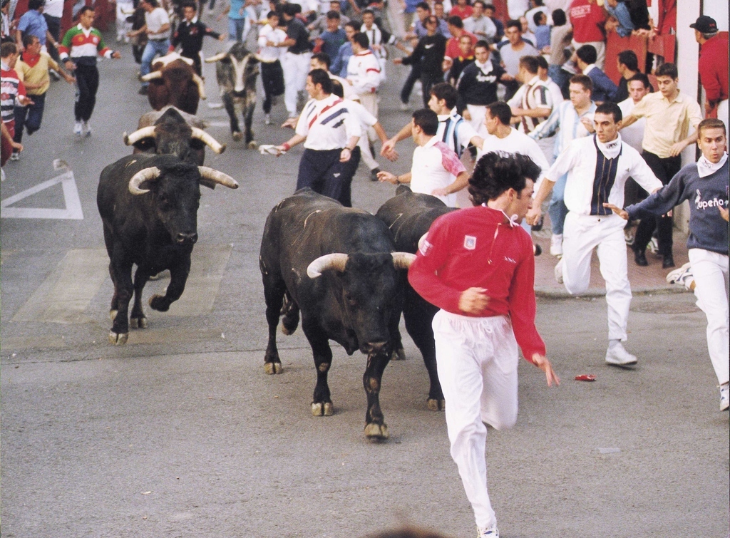 Also known as the Running of the Bulls. Adrenaline paired with the very real possibility of being gored. Live a little!