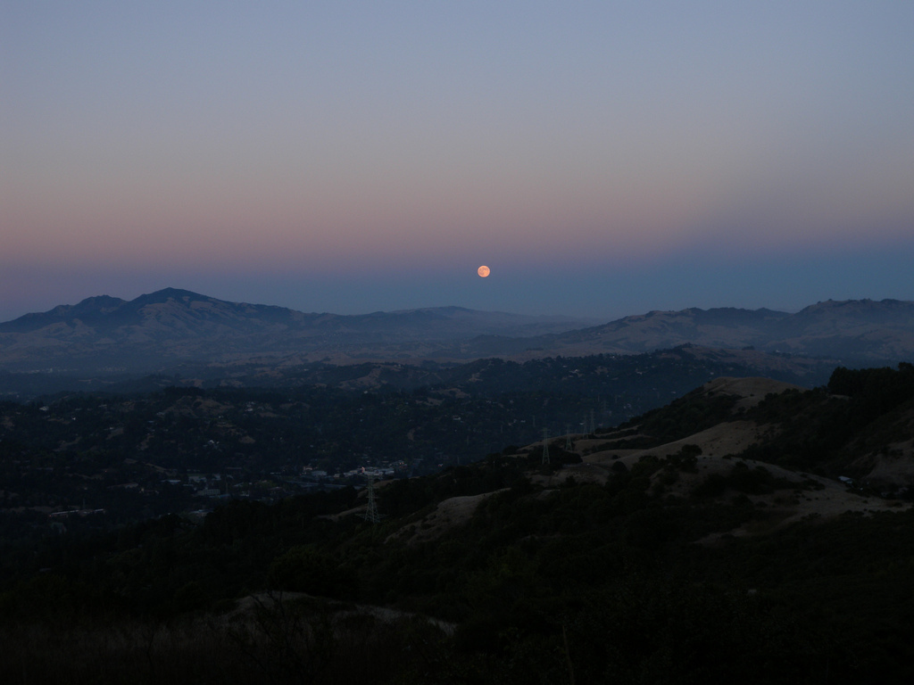 Tilden Regional Park in Berkeley is very accesible. Check out more about it here.