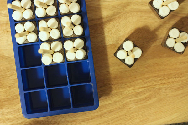 23 Genius Ways To Use An Ice Cube Tray