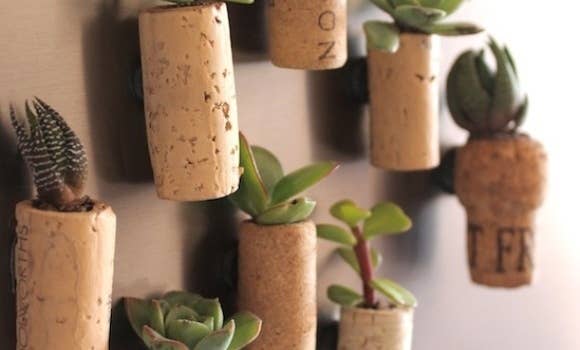 Find out how to make them here.