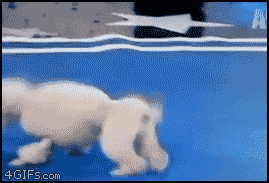 20 GIFs That'll Make You Question Reality