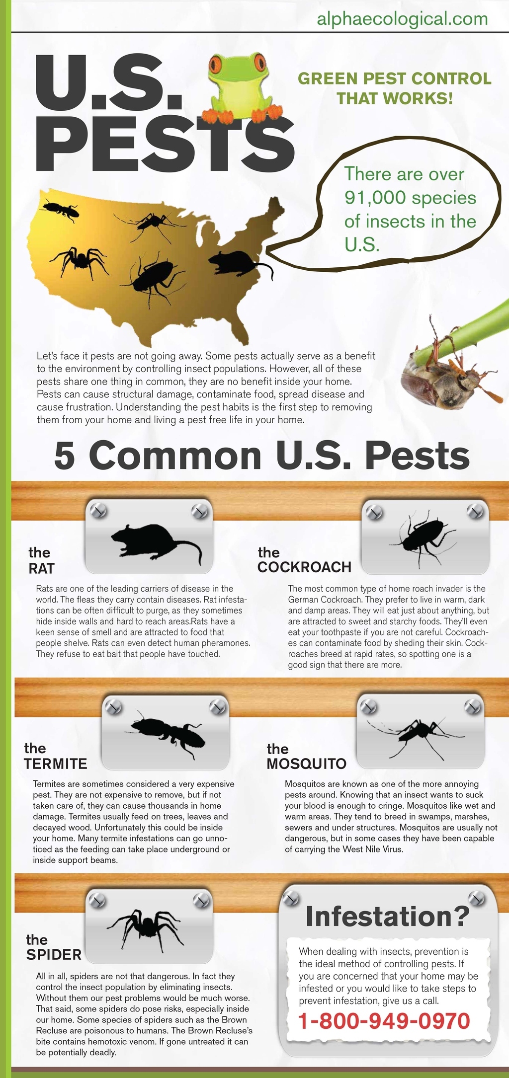 This info-graphic touches on the common pests found around the united states and features information on each insect.