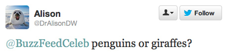 Darren: Penguins.