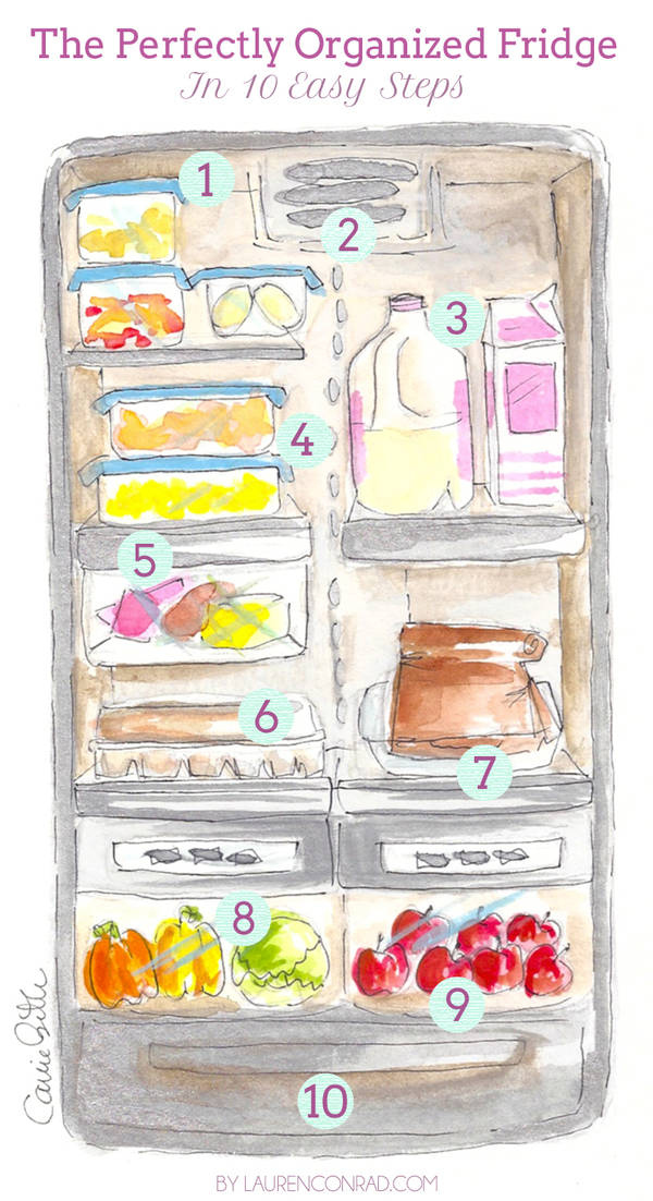 Refrigerator Organization Chart