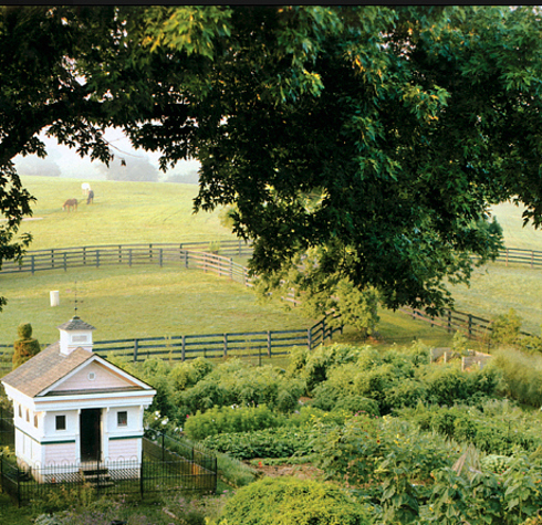 21 Positively Dreamy Chicken Coops