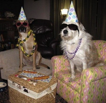 Dude, we were frat bros in ‘86. This joint bday rager is the best event since Greek Week!