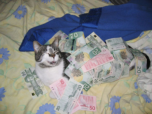 Truth be told, the bank heist was the easy part. Keeping the details of his new identity straight has been the challenge.